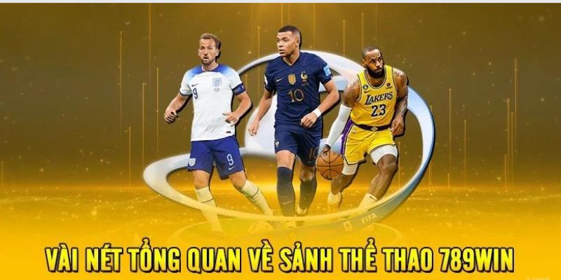 Giới thiệu về sân chơi thể thao 789Win hấp dẫn